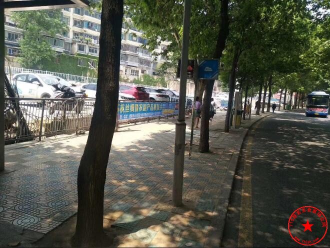 师大鲜花市场对面场地