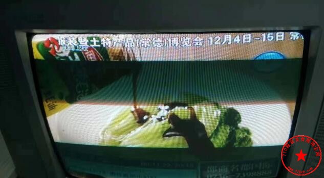 QQ截图20191124203054.jpg