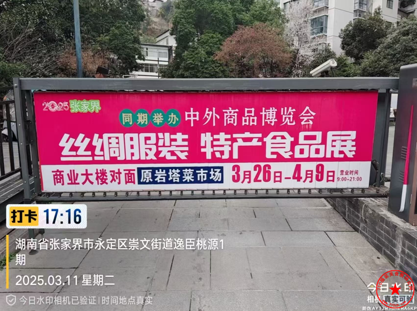 搜狗高速浏览器截图20250312225130.png