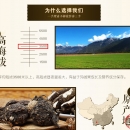 云南玛卡玛咖 黄玛卡紫玛卡黑玛咖干果 玛咖干片 云南特产中药材